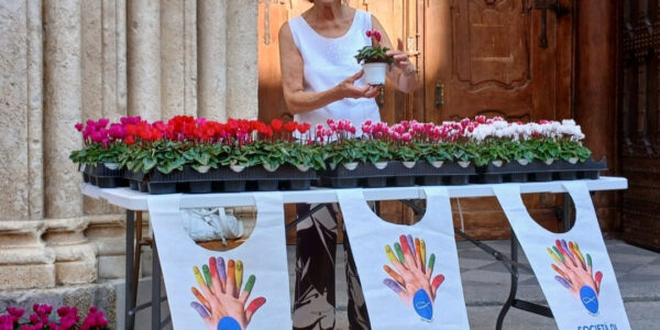 Vasetti ciclamini 01 set25 Vasetti ciclamini 01 set25