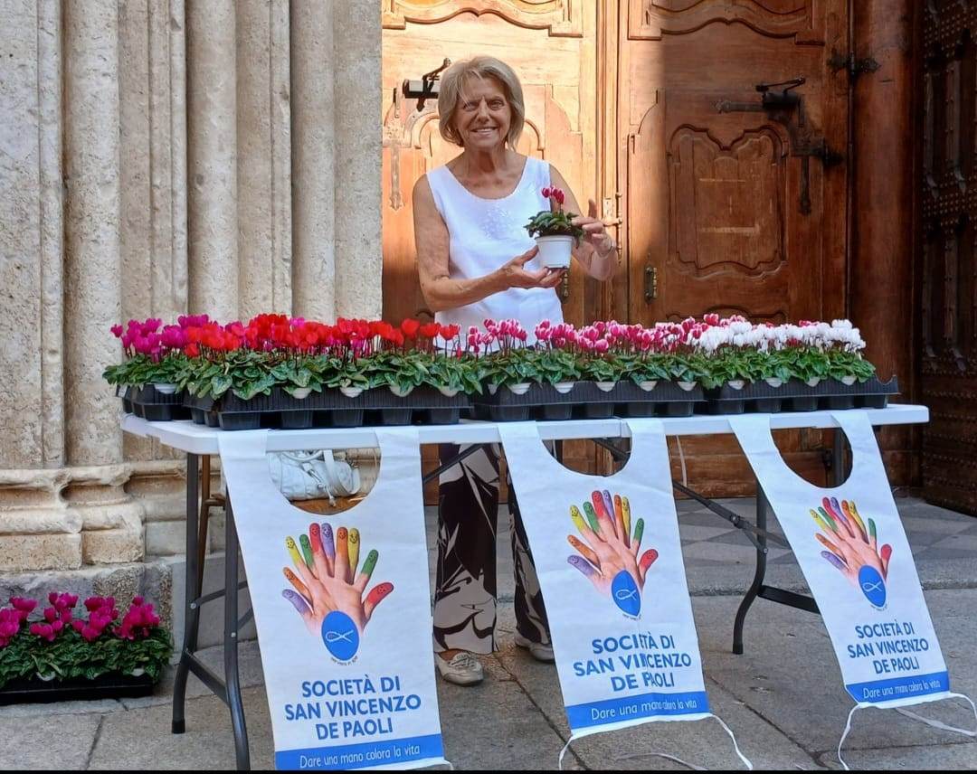 Ciclamini per la Giornata nazionale: cremaschi generosi